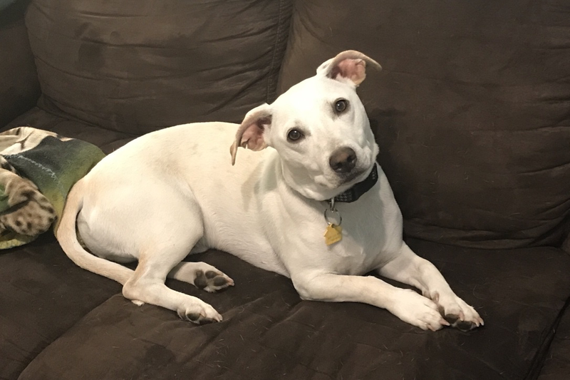 What did you say? No, you can’t have the couch back.